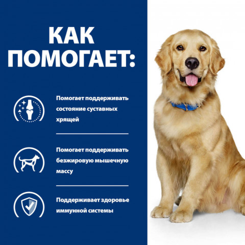 Hills Prescription Diet j/d Joint Care сухой диетический корм для собак для поддержания здоровья и подвижности суставов, с курицей - 12 кг