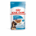 Royal Canin Maxi Puppy влажный корм для щенков крупных пород - 140 г*10 шт