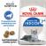 Royal Canin Feline Indoor 7+ сухой корм для пожилых кошек, постоянно проживающим в помещении - 3,5 кг