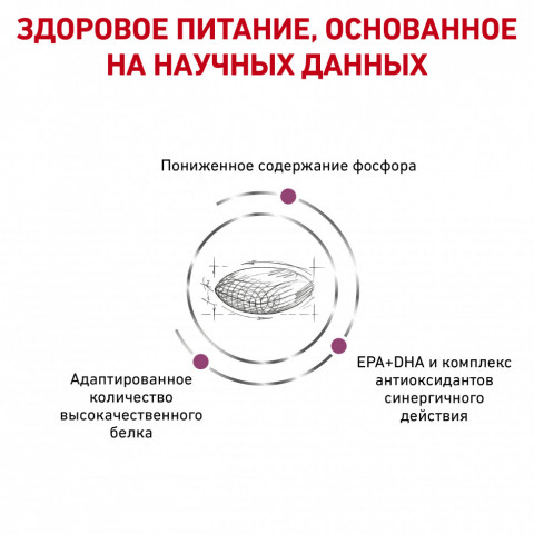 Royal Canin	Renal 	для взрослых собак с хронической почечной недостаточностью - 2 кг