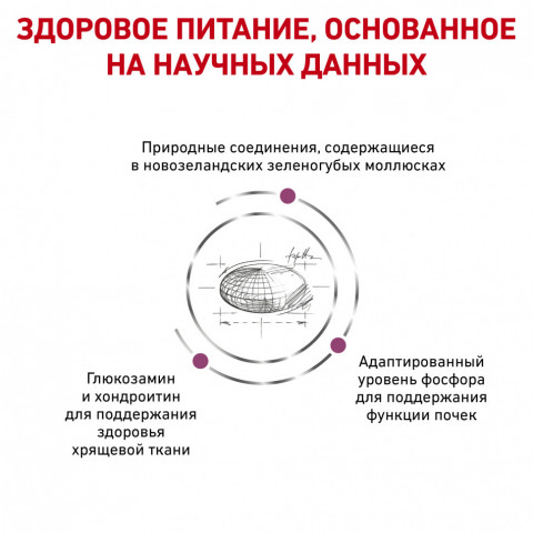 Royal Canin Mobility Support лечебный сухой корм для кошек, способствует увеличению подвижности суставов - 400 г