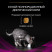 Purina Pro Plan Veterinary Diets UR ST/OX Urinary сухой корм для взрослых кошек при болезни нижних отделов мочевыводящих путей с курицей - 5 кг