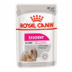 Royal Canin Exigent паштет для собак, привередливых в питании - 85 г*12 шт