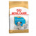 Royal Canin Dalmatian Puppy для щенков-далматинов до достижения ими возраста 15 месяцев - 12 кг