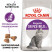Royal Canin SPECIAL Sensible 33 для кошек с чувствительной пищеварительной системой - 2 кг