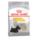 Royal Canin Mini Dermacomfort сухой корм для взрослых собак мелких пород с раздраженной и зудящей кожей - 800 г