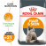 Royal Canin Hair & Skin Care для кошек с проблемной шерстью и чувствительной кожей - 2 кг