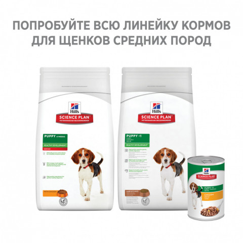 Сухой корм Hills Science Plan для щенков средних пород для поддержания сильного иммунитета, с курицей - 12 кг