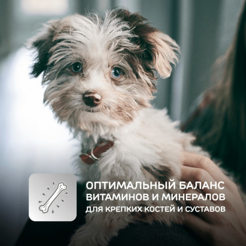 Сухой корм Hills Science Plan для щенков средних пород для поддержания сильного иммунитета, с курицей - 12 кг