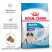 Royal Canin Giant Puppy сухой корм для щенков гигантских пород с курицей - 3,5 кг, Здоровое питание для щенков гигантских пород