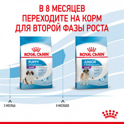 Royal Canin Giant Puppy сухой корм для щенков гигантских пород с курицей - 3,5 кг, Здоровое питание для щенков гигантских пород
