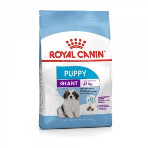 Royal Canin Giant Puppy сухой корм для щенков гигантских пород с курицей - 3,5 кг, Здоровое питание для щенков гигантских пород