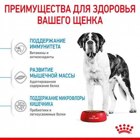 Royal Canin Giant Junior сухой корм для молодых собак гигантских пород с курицей - 15 кг