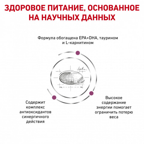 Royal Canin Cardiac EC26 сухой корм для собак при заболеваниях сердца - 2 кг