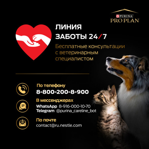 Purina ONE сухой корм для стерилизованных кошек с лососем и пшеницей - 750 г