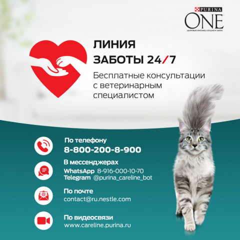 Purina ONE сухой корм для стерилизованных кошек с лососем и пшеницей - 750 г