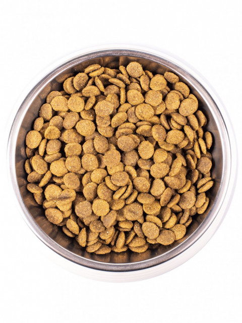 Monge Cat Adult сухой корм для для взрослых кошек с курицей 1,5 кг