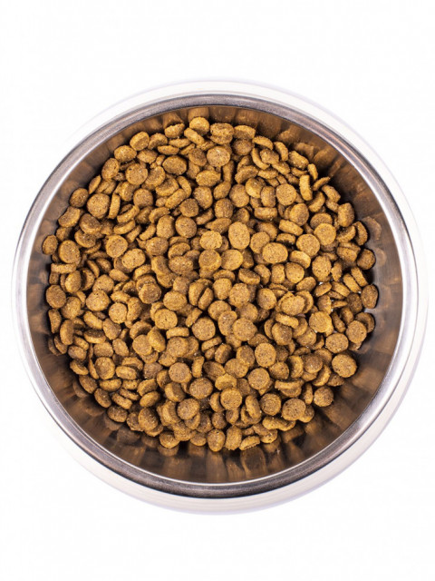 Monge Kitten сухой корм для котят с курицей 10 кг