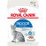 Royal Canin Indoor Sterilised влажный корм для взрослых кошек кусочки в паштете - 85 г*12 шт