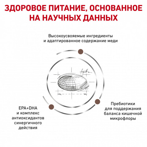 Royal Canin Hepatic лечебный сухой корм для кошек с заболеваниями печени - 500 г