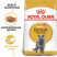 Royal Canin British Shorthair 34 для породы Британская короткошерстная старше 12 мес - 4кг
