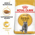 Royal Canin British Shorthair Adult сухой корм для взрослых кошек породы британской короткошерстной - 10 кг