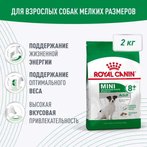 Royal Canin Mini Adult 8+ для взрослых собак мелких размеров (до 10 кг) старше 8 лет, 2 кг