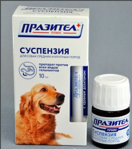 Празител для  собак средних и крупных пород, суспензия 10 мл