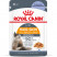 Royal Canin Hair&Skin Care влажный корм для взрослых кошек, для поддержания здоровья кожи и красоты шерсти, тонкие ломтики в желе, в паучах - 85 г*28 шт