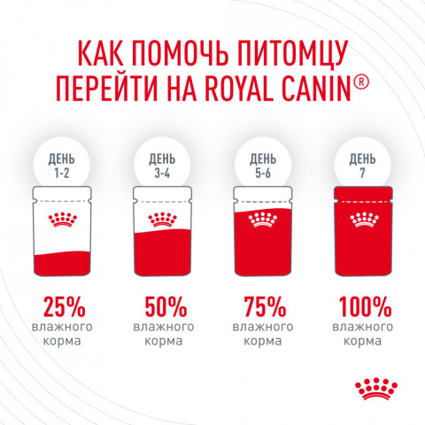 Royal Canin Hair&Skin Care влажный корм для взрослых кошек, для поддержания здоровья кожи и красоты шерсти, тонкие ломтики в желе, в паучах - 85 г*28 шт