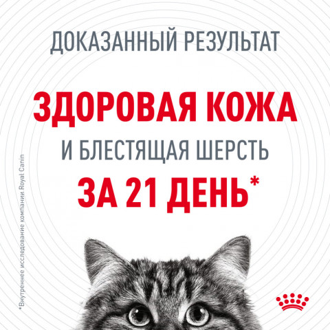 Royal Canin Hair&Skin Care влажный корм для взрослых кошек, для поддержания здоровья кожи и красоты шерсти, тонкие ломтики в желе, в паучах - 85 г*28 шт