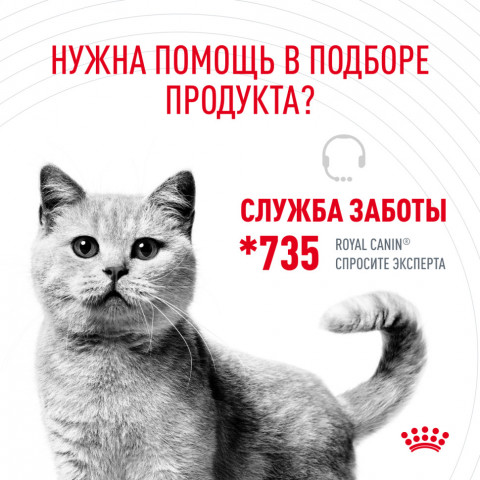 Royal Canin Hair&Skin Care влажный корм для взрослых кошек, для поддержания здоровья кожи и красоты шерсти, тонкие ломтики в желе, в паучах - 85 г*28 шт