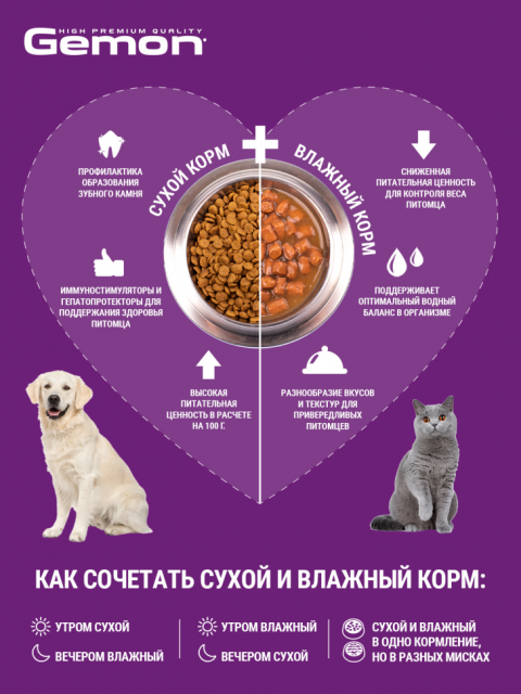 Gemon Kitten сухой корм для котят с курицей и рисом 1,5 кг