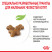 Royal Canin Kitten 34 сухой корм для котят от 4 до 12 месяцев с птицей - 4 кг