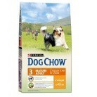 Dog Chow Mature Adult (Сухой корм для взрослых собак старше 5 лет с курицей), 14 кг