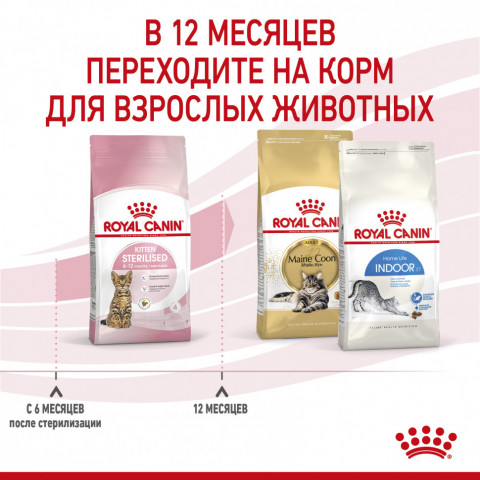 Royal Canin Kitten Sterilised сухой корм для стерилизованных котят - 400 г