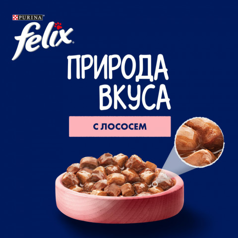 Felix Природа вкуса влажный корм для взрослых кошек с лососем, в паучах - 75 г х 26 шт