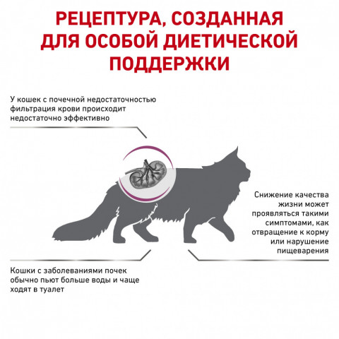 Royal Canin Renal Special сухой корм для взрослых кошек с хронической почечной недостаточностью - 2 кг