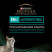 Purina Pro Plan Veterinary Diets EN ST/OX Gastrointestinal влажный корм для взрослых кошек при расстройствах пищеварения, с лососем - 85 г х 10 шт