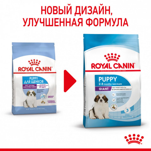 Royal Canin Giant Puppy сухой корм для щенков гигантских пород с 2 до 8 месяцев - 15 кг, Здоровое питание для щенков гигантских пород