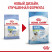 Royal Canin X - Small Puppy сухой корм для щенков миниатюрных пород - 500 г