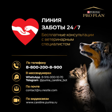 Purina Pro Plan Adult Medium сухой корм для взрослых собак средних пород с курицей и рисом - 7 кг