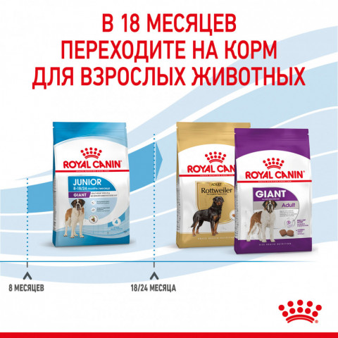 Royal Canin Giant Junior сухой корм для молодых собак гигантских пород с курицей - 3,5 кг