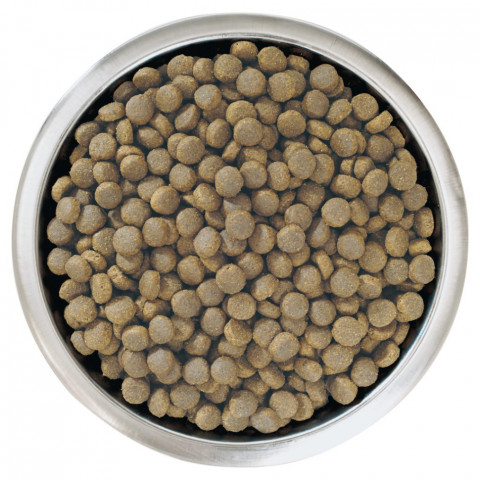 Pro Plan Puppy Large Robust сухой корм для щенков крупных пород с мощным телосложением с курицей и рисом - 12 кг