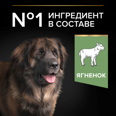 Pro Plan Adult Large Robust сухой корм для взрослых собак крупных пород с мощным телосложением с ягненком - 18 кг