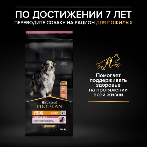Pro Plan Adult Large Robust сухой корм для взрослых собак крупных пород с мощным телосложением с ягненком - 18 кг