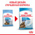 Royal Canin Maxi Starter Mother & Babydog для щенков крупных размеров до 2-месяцев и сук в последней трети беременности и во время лактации - 4 кг