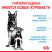Royal Canin Maxi Starter Mother & Babydog для щенков крупных размеров до 2-месяцев и сук в последней трети беременности и во время лактации - 4 кг