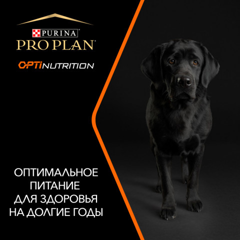 Purina Pro Plan Small & Mini сухой корм для взрослых собак миниатюрных и мелких пород с курицей и рисом - 7 кг