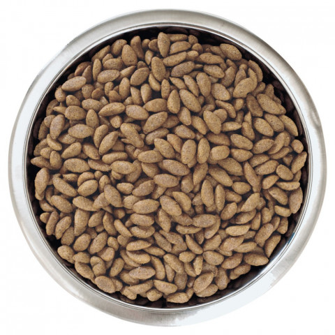 Pro Plan Opti Derma Medium сухой корм для взрослых собак средних пород при чувствительной коже с лососем - 3 кг